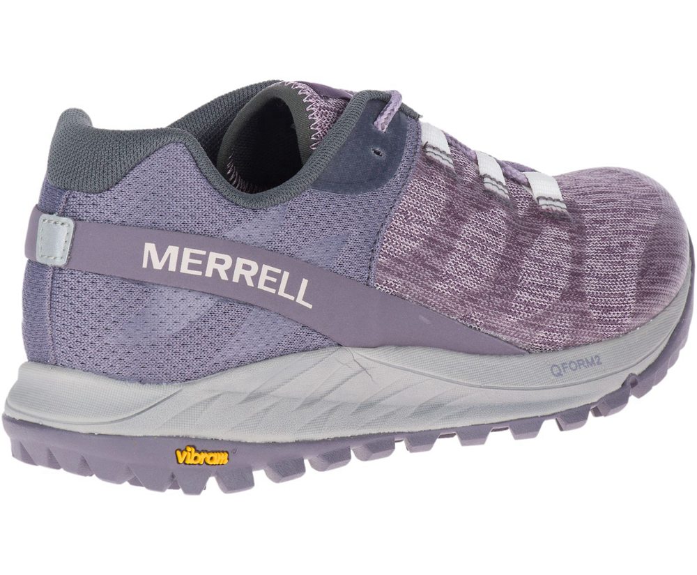 Merrell Sneakers Purple - Antora - Womens 86HRJPWMQ